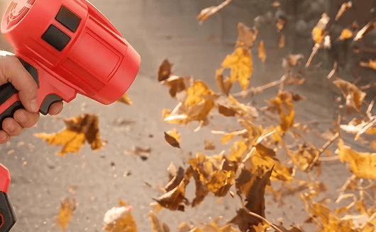 Car Port cleanup with Wood Ranger blower